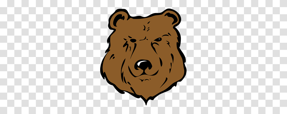 Bear Animals, Mammal, Wildlife Transparent Png