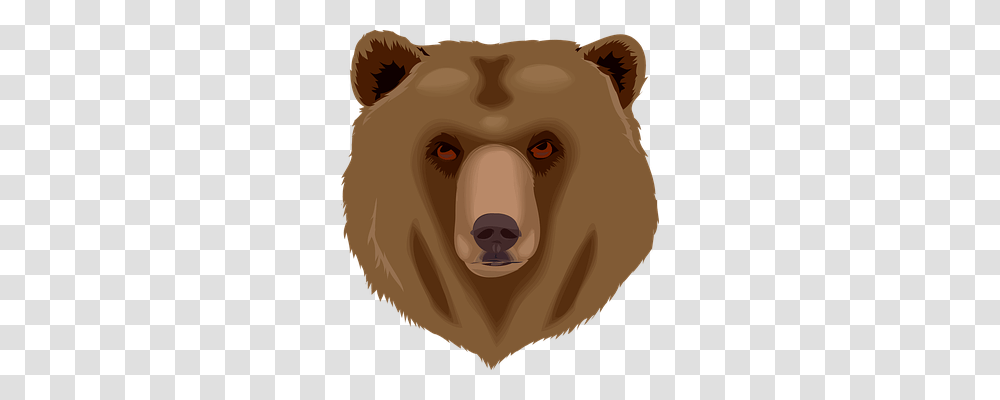 Bear Animals, Brown Bear, Wildlife, Mammal Transparent Png