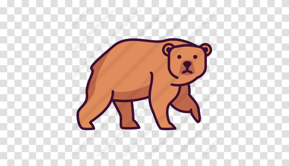 Bear Animal Figure, Mammal, Wildlife, Brown Bear Transparent Png