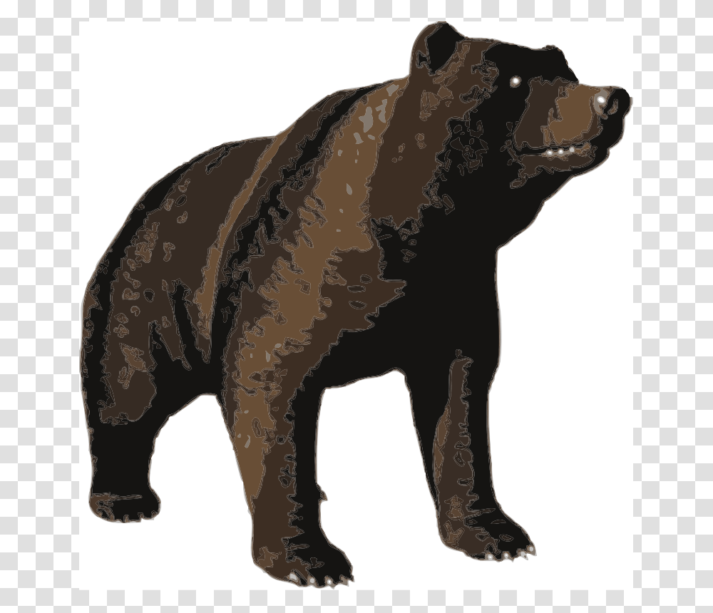 Bear, Animals, Mammal, Brown Bear, Wildlife Transparent Png