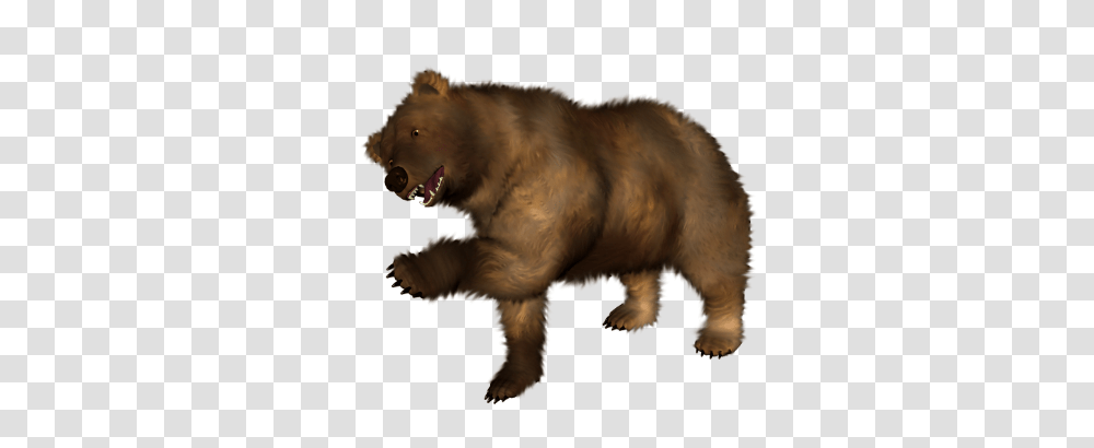 Bear, Animals, Mammal, Wildlife, Brown Bear Transparent Png