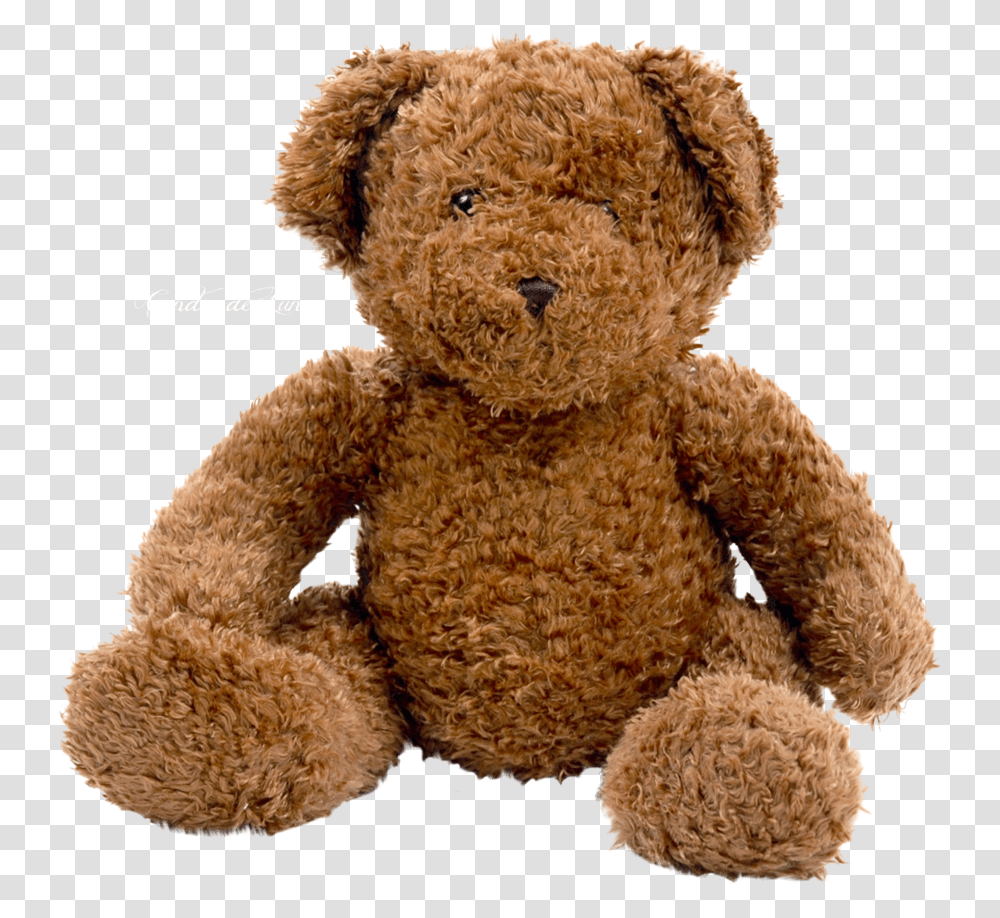 Bear, Animals, Teddy Bear, Toy, Plush Transparent Png