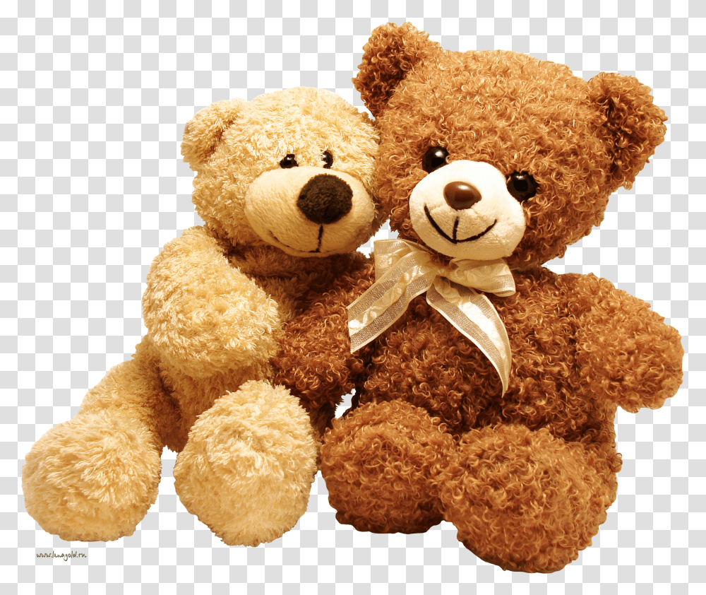 Bear, Animals Transparent Png