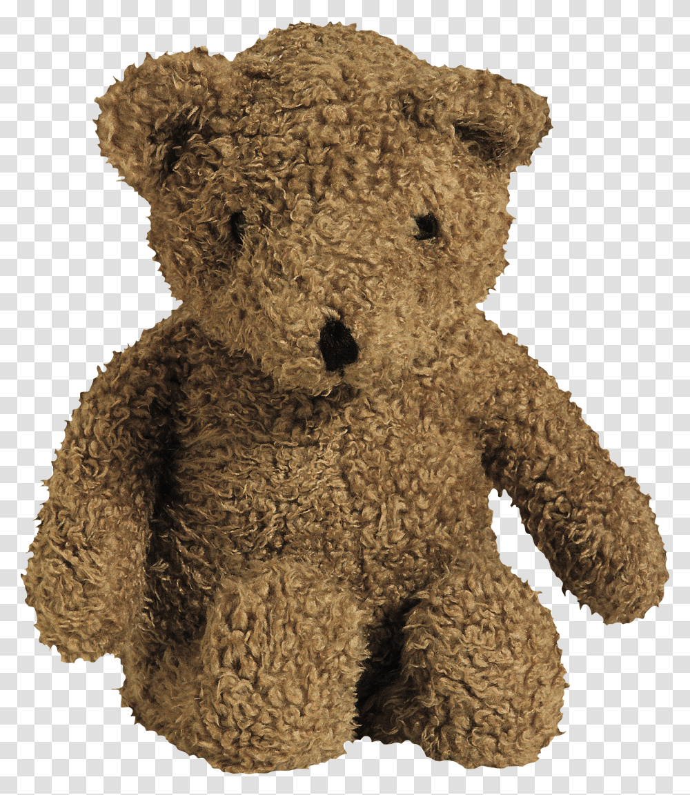 Bear, Animals Transparent Png