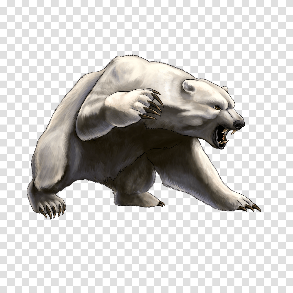 Bear, Animals, Wildlife, Mammal, Otter Transparent Png