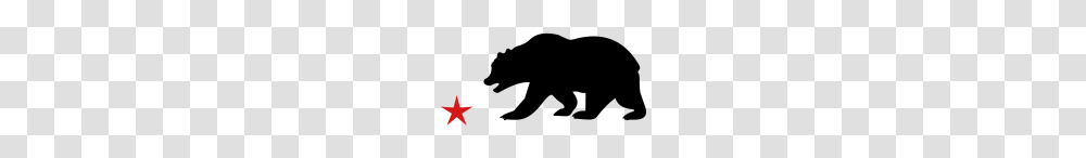 Bear California, Gray, World Of Warcraft Transparent Png