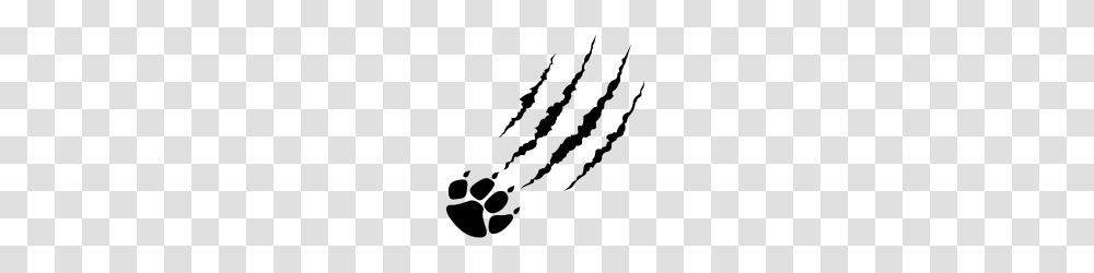 Bear Claw, Gray, World Of Warcraft Transparent Png