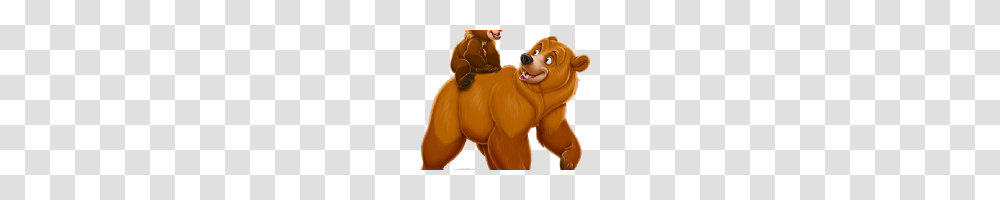 Bear Cliparts Grizzly Bear Clipart, Animal, Mammal, Person, Human Transparent Png