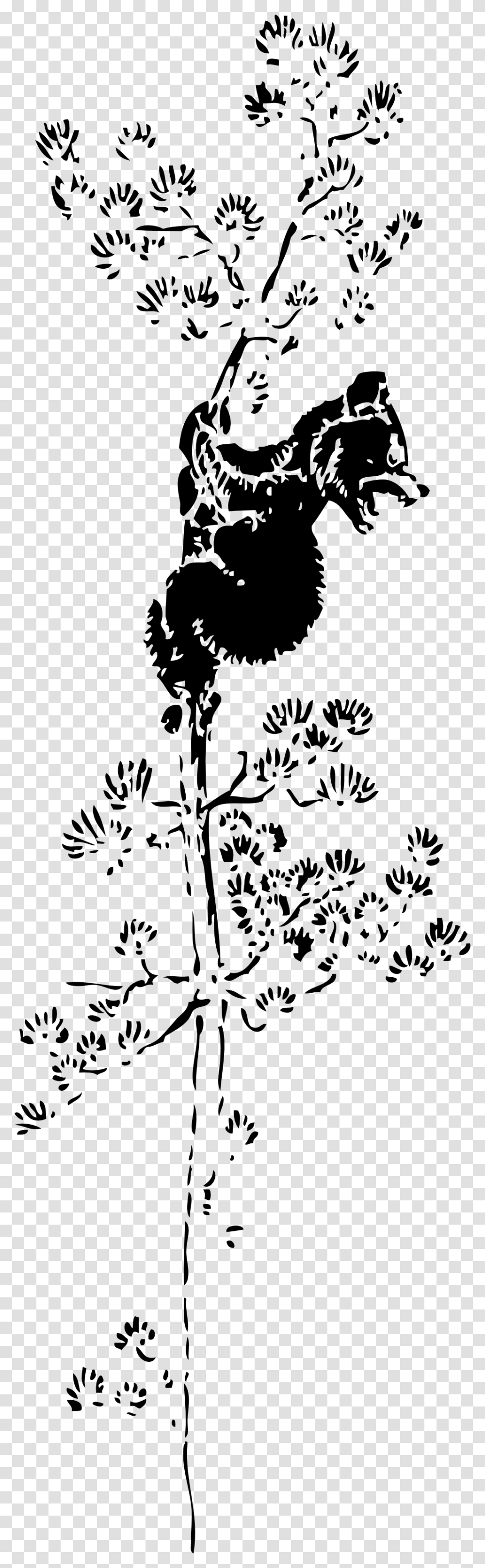 Bear Cub In Tree Silhouette, Stencil, Floral Design Transparent Png