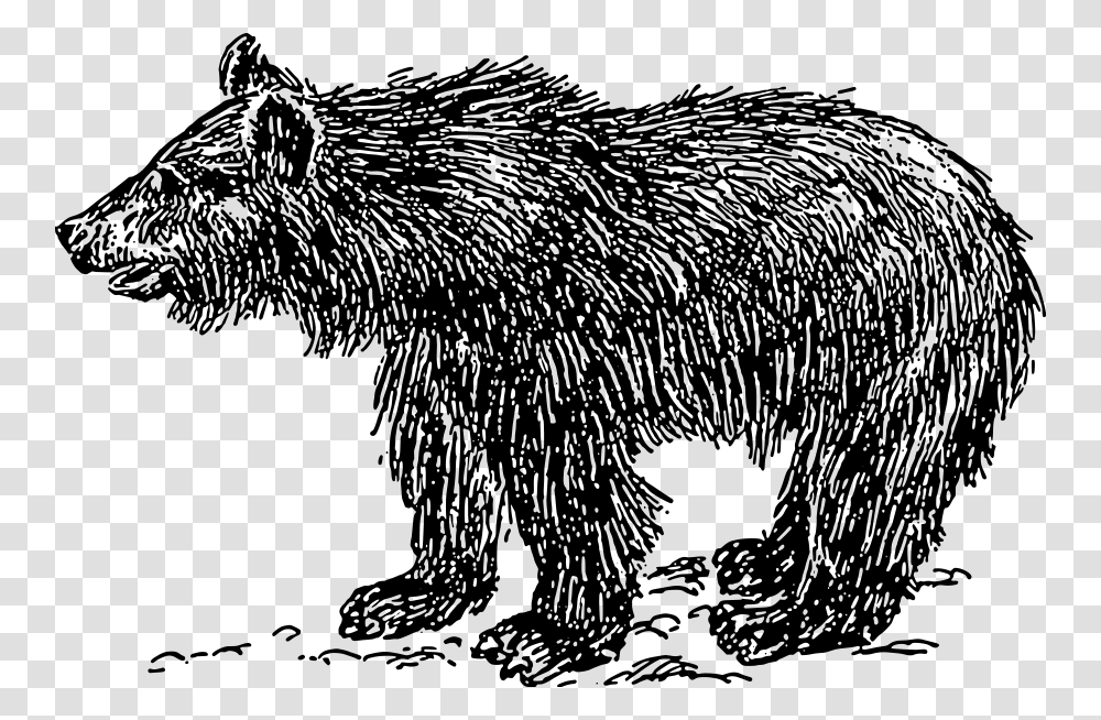 Bear Cub Svg Clip Arts Sloth Bear Clipart Black And White, Gray, World Of Warcraft Transparent Png