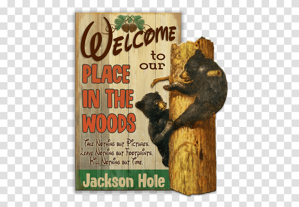 Bear Cubs In Tree 2pc Sign Punxsutawney Phil, Advertisement, Poster, Flyer, Paper Transparent Png
