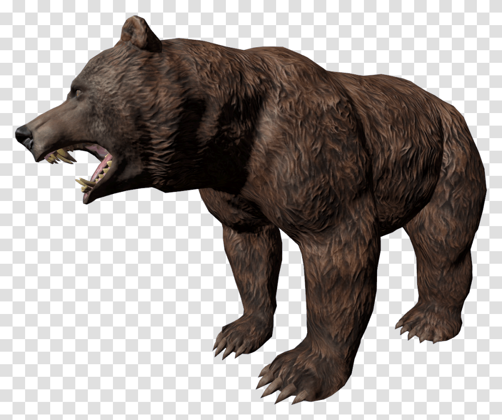 Bear Dayz Bear, Mammal, Animal, Wildlife, Dog Transparent Png