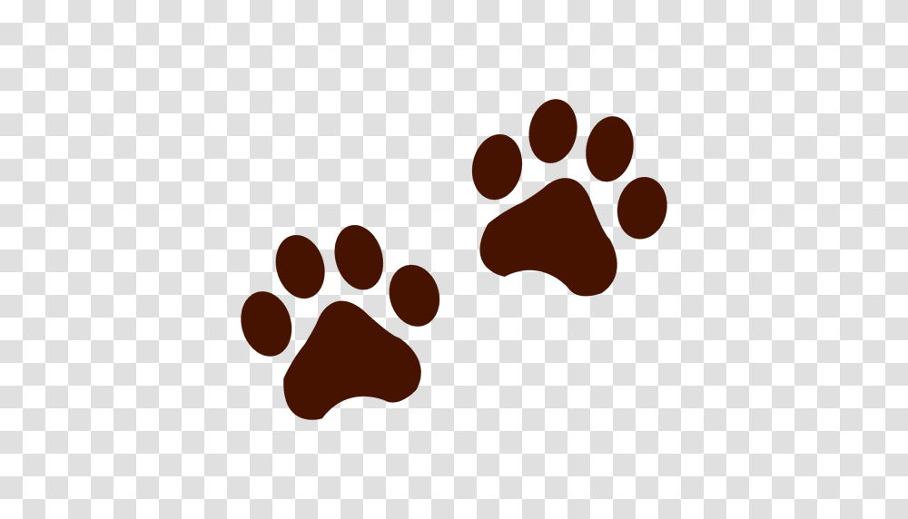 Bear Footprints Transparent Png