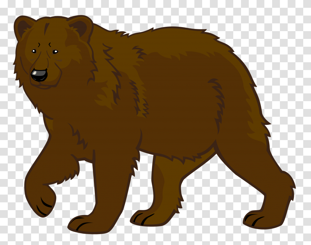 Bear Free Images, Animal, Mammal, Wildlife, Lion Transparent Png