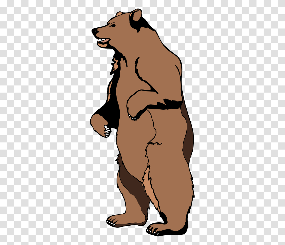 Bear Free Vector, Face, Person, Head, Skin Transparent Png