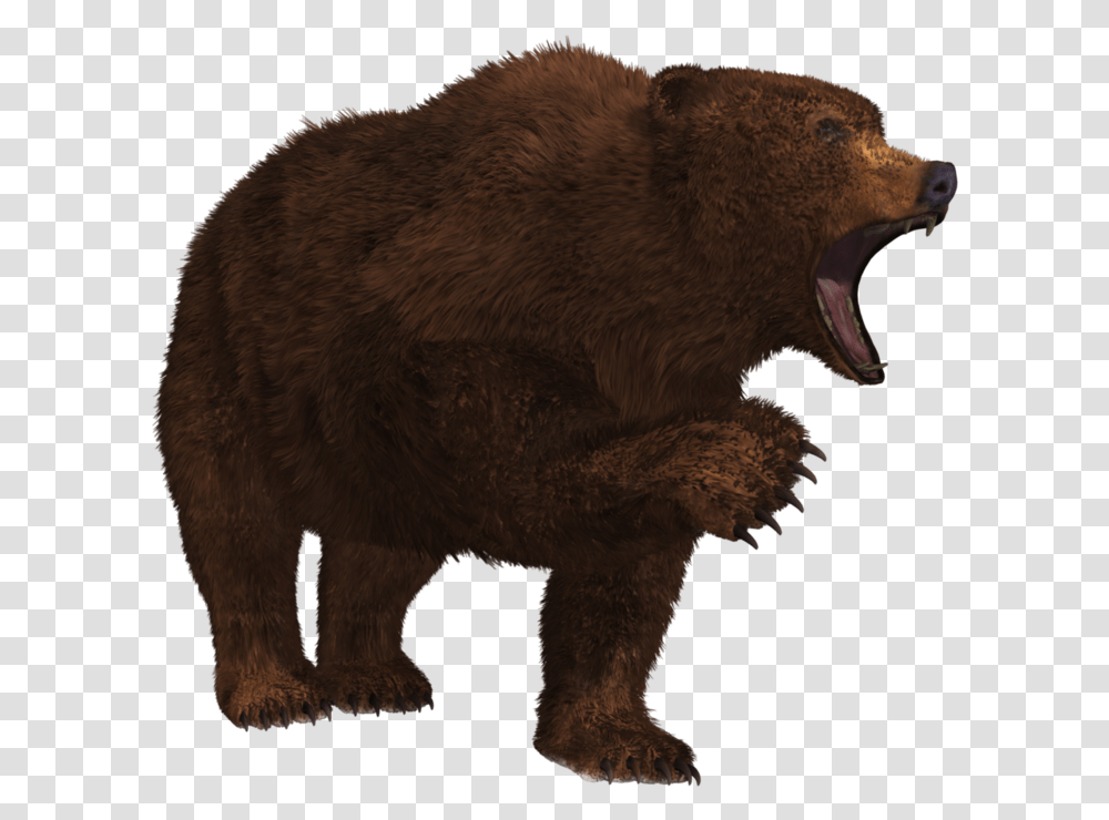 Bear Growling Bear, Wildlife, Mammal, Animal, Brown Bear Transparent Png