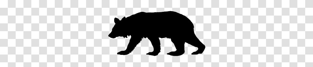 Bear Hunting, Mammal, Animal, Black Bear, Wildlife Transparent Png