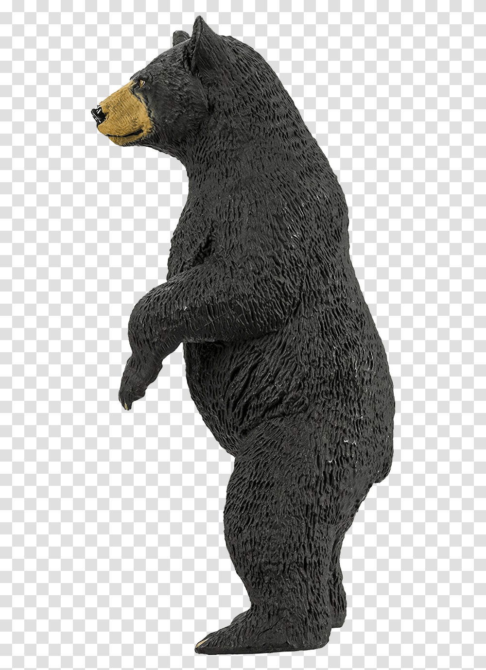Bear Images Free Download American Black Bear, Wildlife, Animal, Mammal, Sloth Transparent Png
