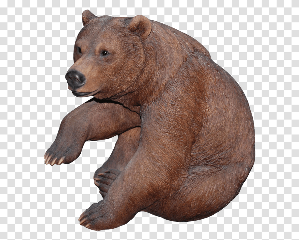 Bear, Mammal, Animal, Wildlife, Brown Bear Transparent Png