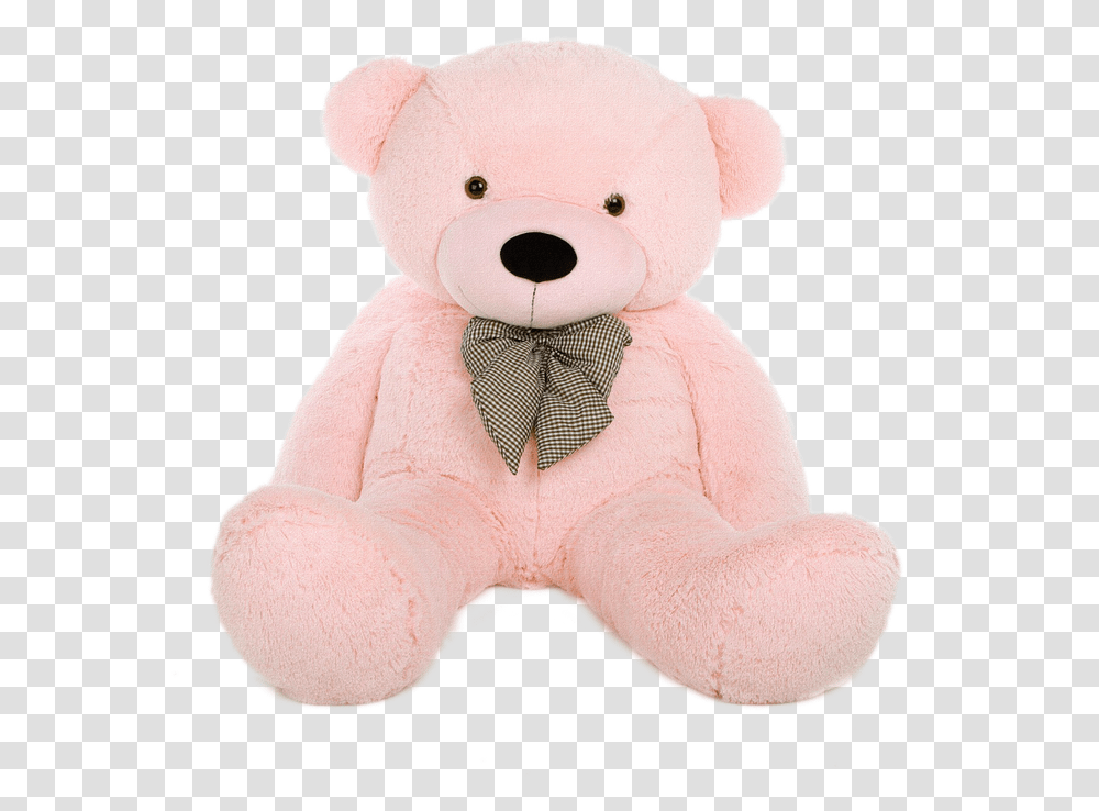 Bear Teddy Toy Teddy Bear, Plush Transparent Png