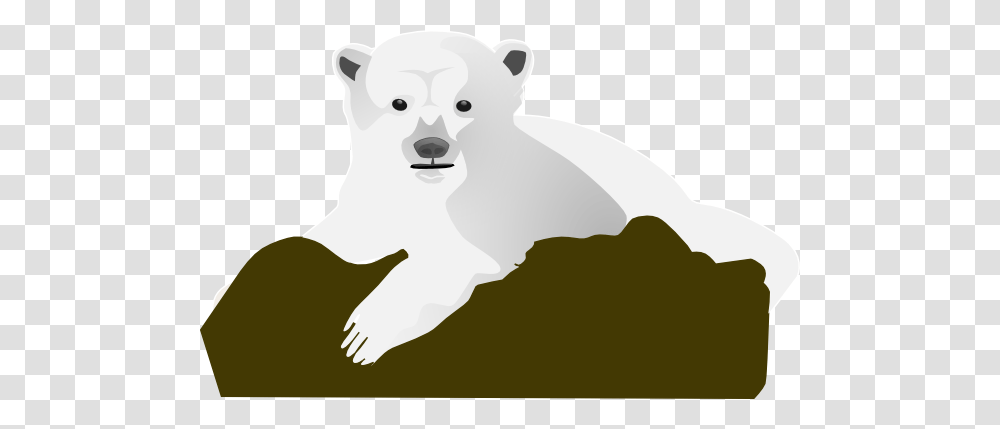 Bear Vector, Mammal, Animal, Wildlife, Polar Bear Transparent Png