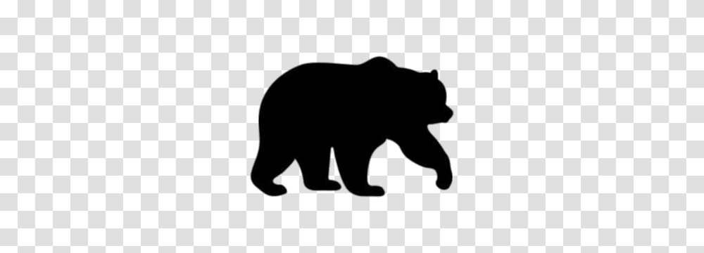Bear, Wildlife, Mammal, Animal, Black Bear Transparent Png