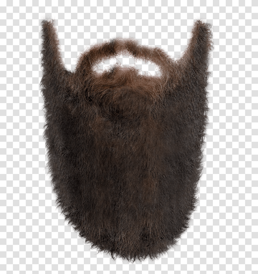 Beard Background Beard, Wildlife, Mammal, Animal, Mouth Transparent Png