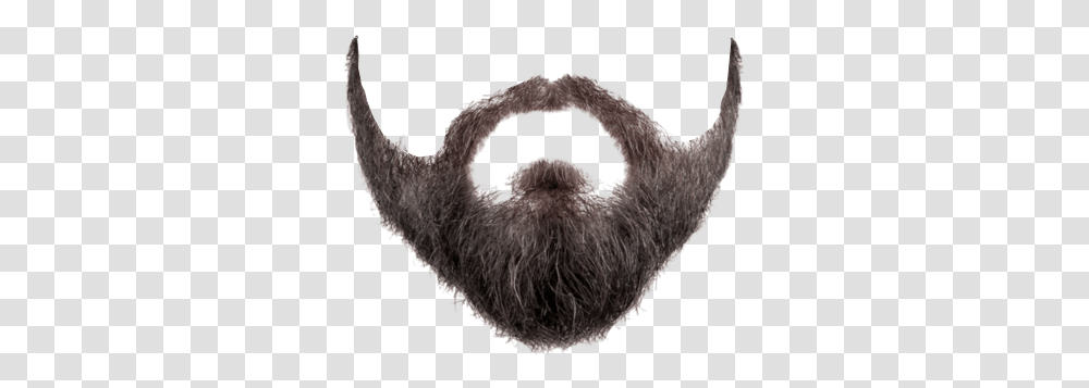 Beard Background In 2020 Beard With No Background, Face, Mustache, Text, Antler Transparent Png