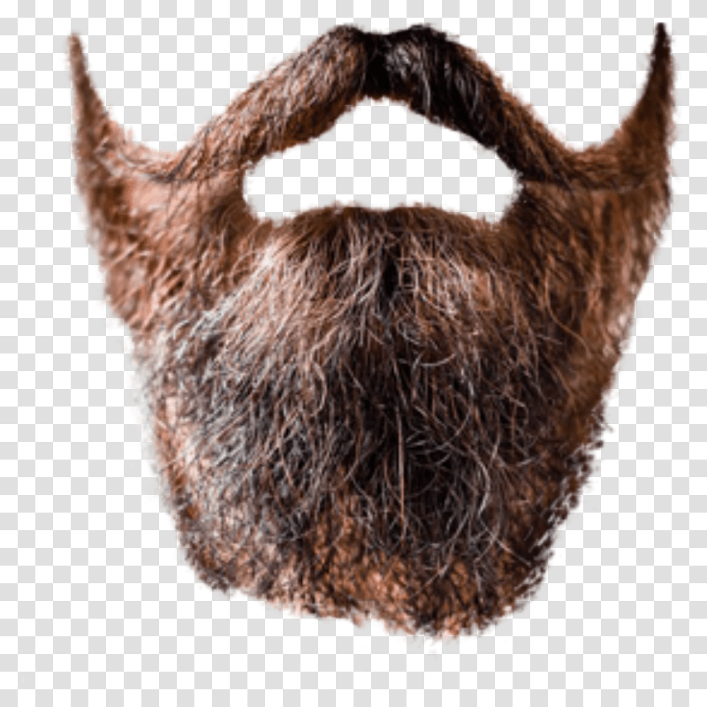 Beard Beard, Face, Mustache, Glasses, Accessories Transparent Png