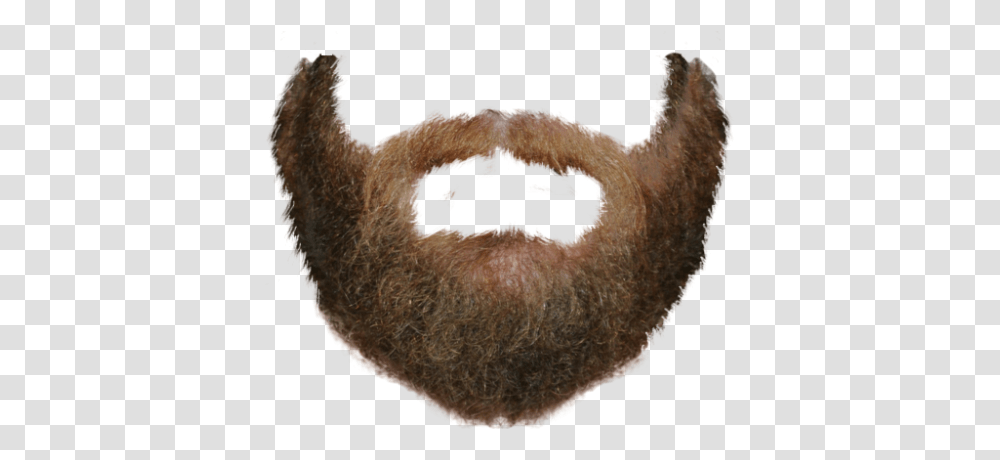 Beard Beard, Mouth, Lip, Face, Animal Transparent Png