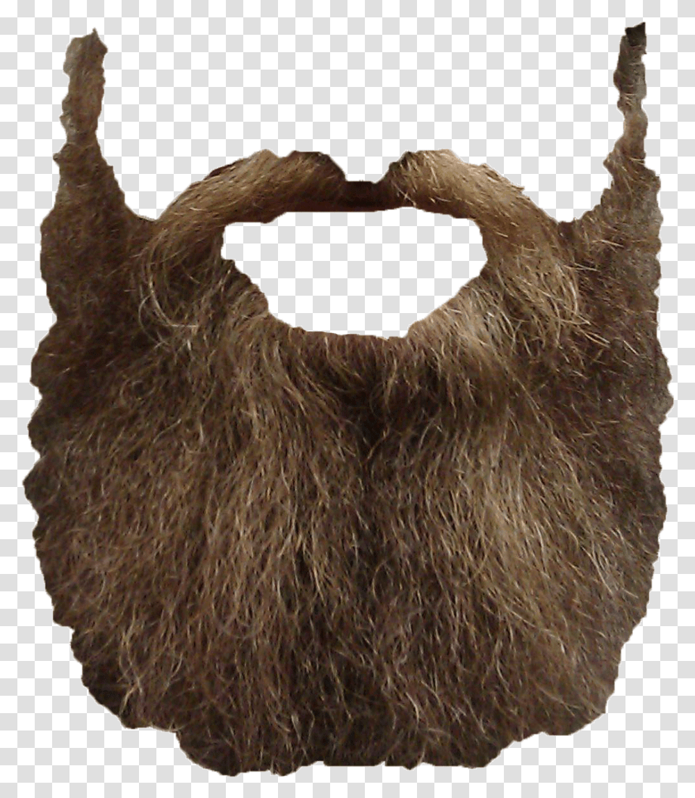 Beard Beard With No Background, Mammal, Animal, Wildlife, Sloth Transparent Png