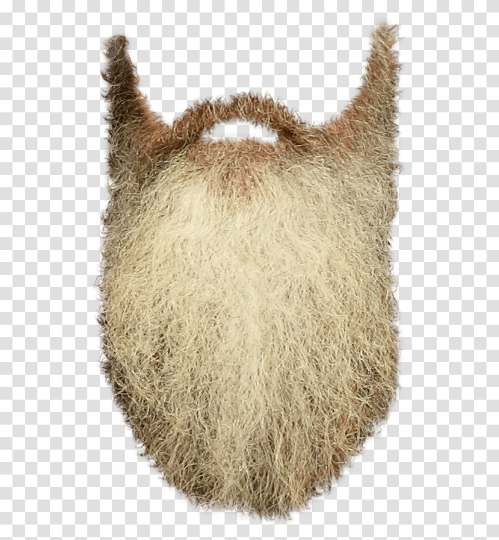 Beard Clip Art Long Beard Background, Face, Rug, Mustache Transparent Png