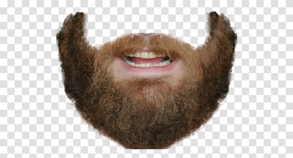 Beard Copy And Paste Beard, Face, Mustache, Mouth, Lip Transparent Png