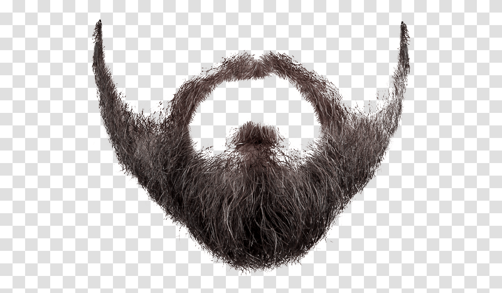 Beard, Face, Bird, Animal, Mustache Transparent Png