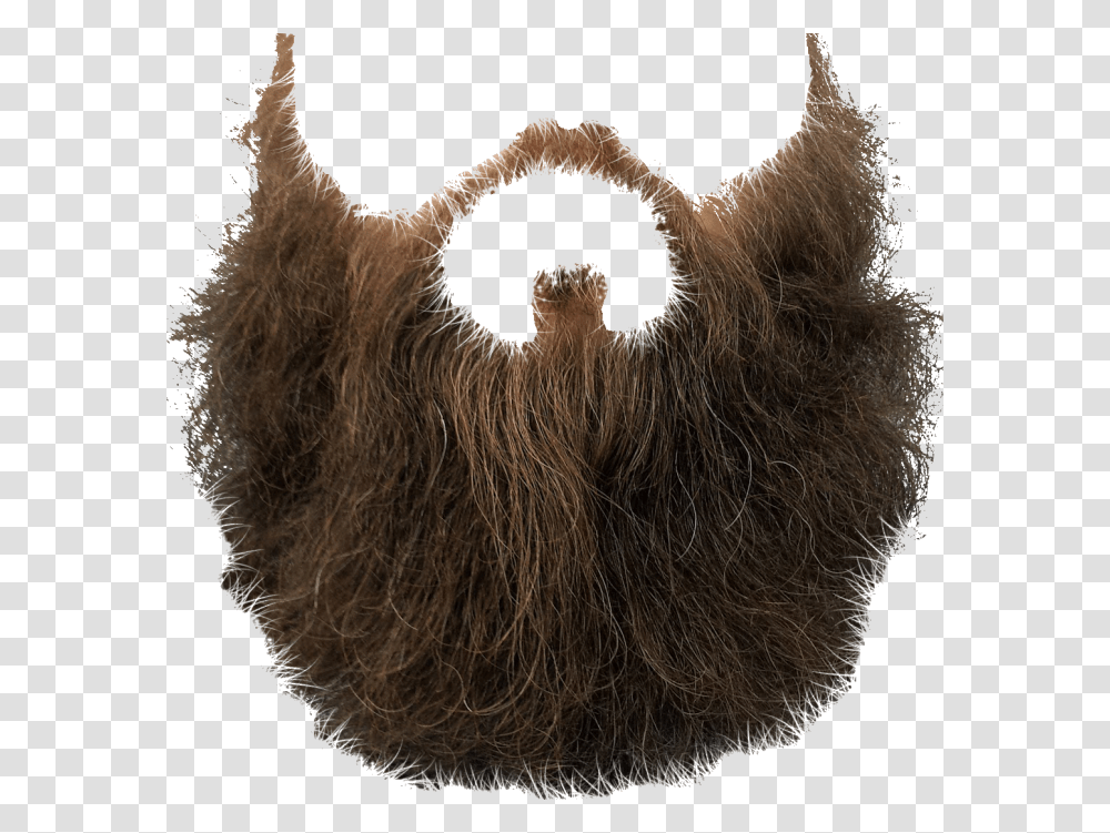 Beard, Person, Animal, Mammal, Buffalo Transparent Png