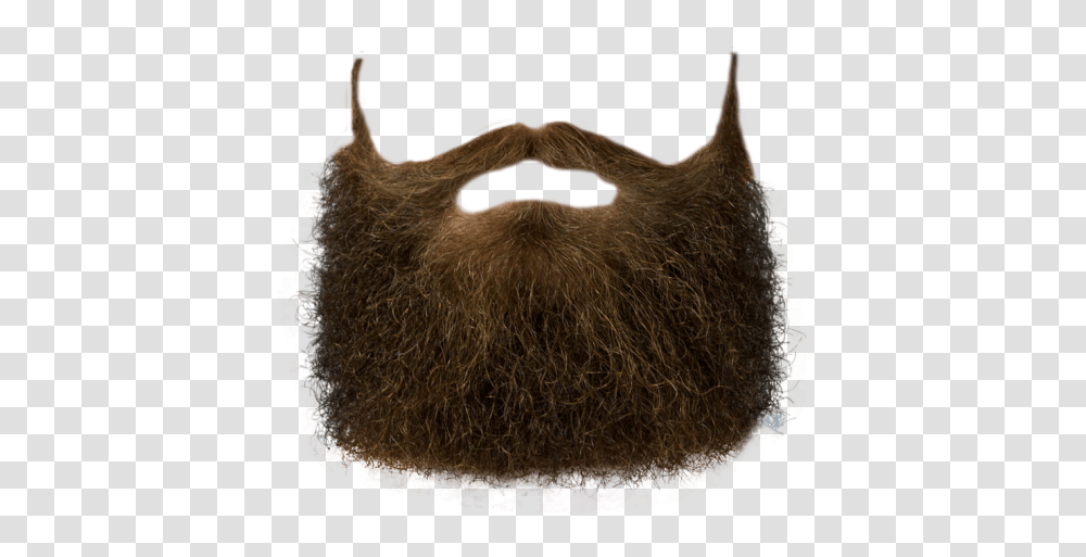 Beard, Person, Face, Bag Transparent Png