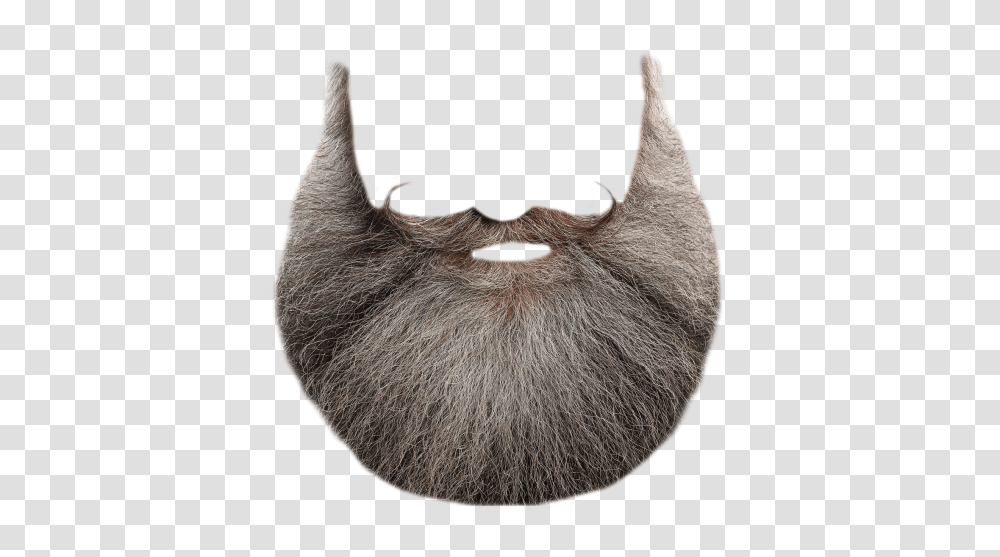 Beard, Person, Face, Cat, Pet Transparent Png