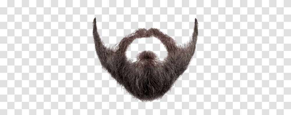 Beard, Person, Face, Cat, Pet Transparent Png