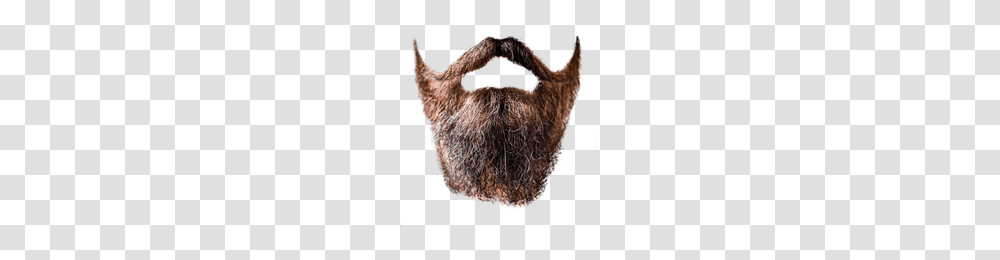 Beard, Person, Face, Fungus, Mustache Transparent Png