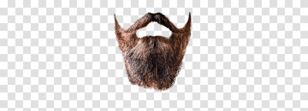 Beard, Person, Face, Human, Mustache Transparent Png