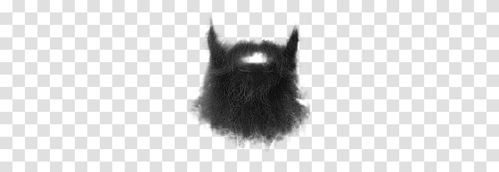 Beard, Person, Face, Lighting, Poster Transparent Png