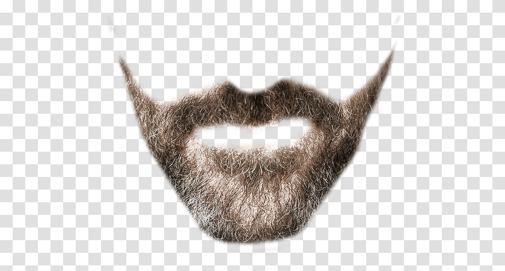 Beard, Person, Face, Mustache, Mouth Transparent Png