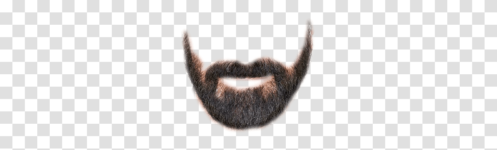 Beard, Person, Face, Mustache, Mouth Transparent Png