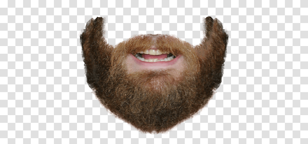 Beard, Person, Face, Mustache, Mouth Transparent Png