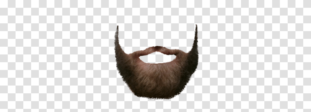 Beard, Person, Face, Mustache, Mouth Transparent Png