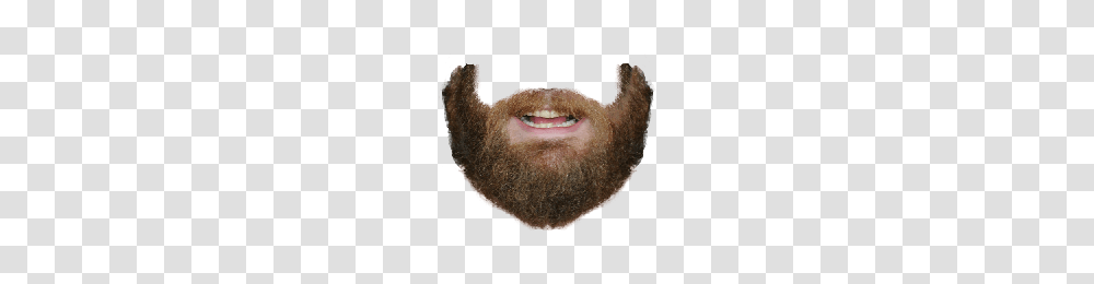 Beard, Person, Face, Mustache Transparent Png