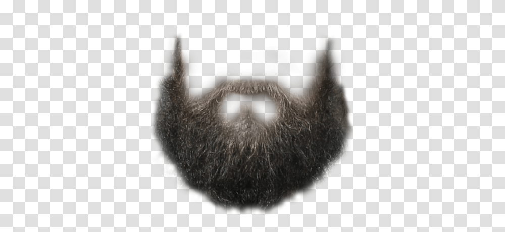 Beard, Person, Face, Poster, Advertisement Transparent Png