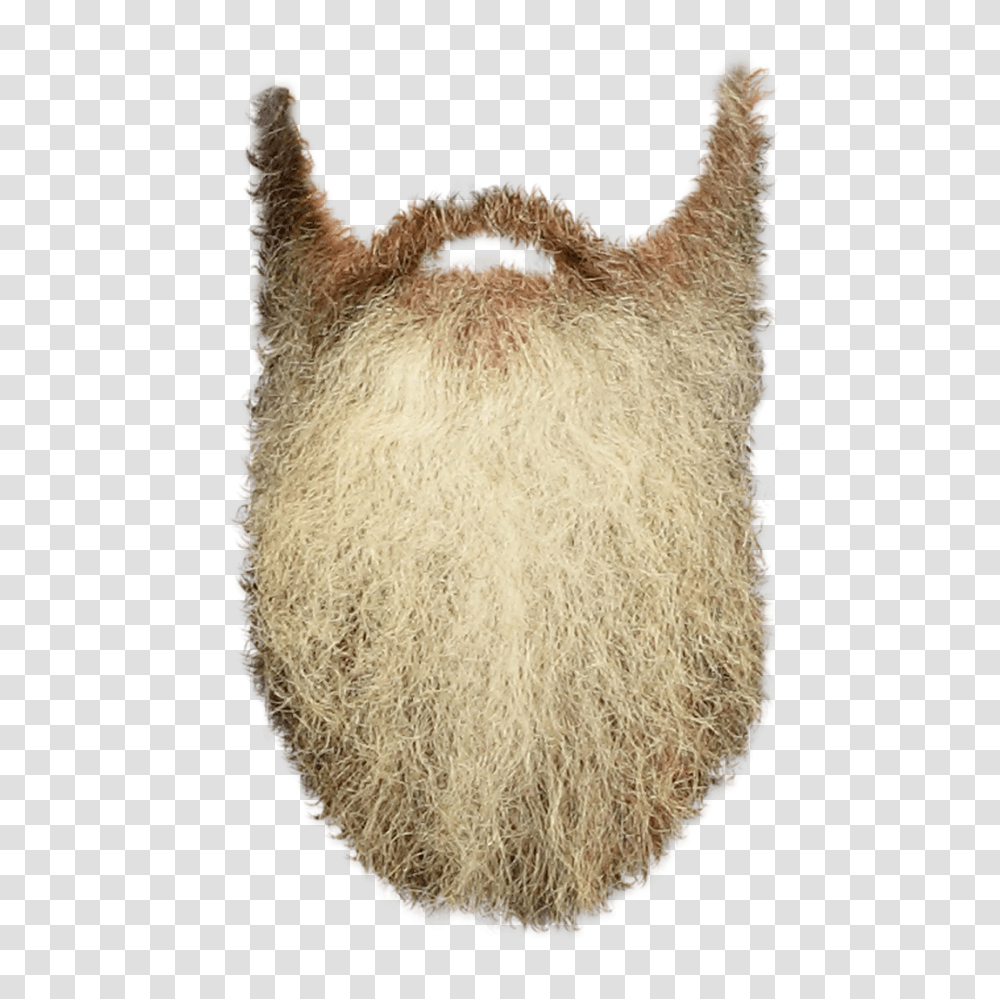 Beard, Person, Face, Rug, Mustache Transparent Png