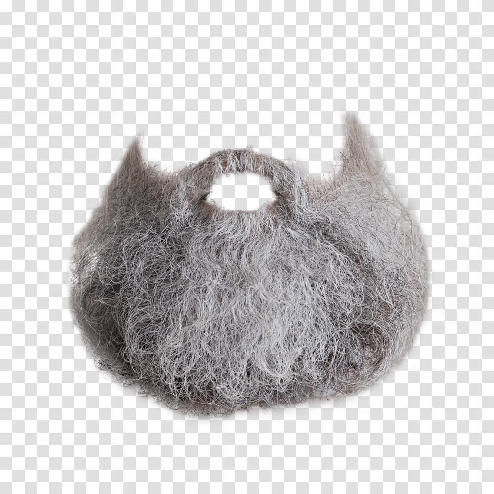 Beard, Person, Face, Rug Transparent Png