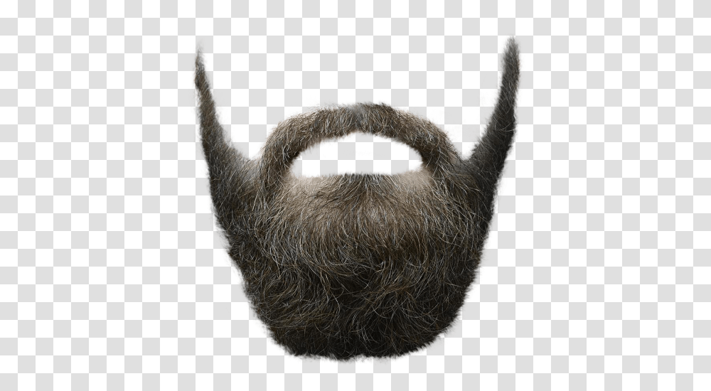 Beard, Person, Face Transparent Png